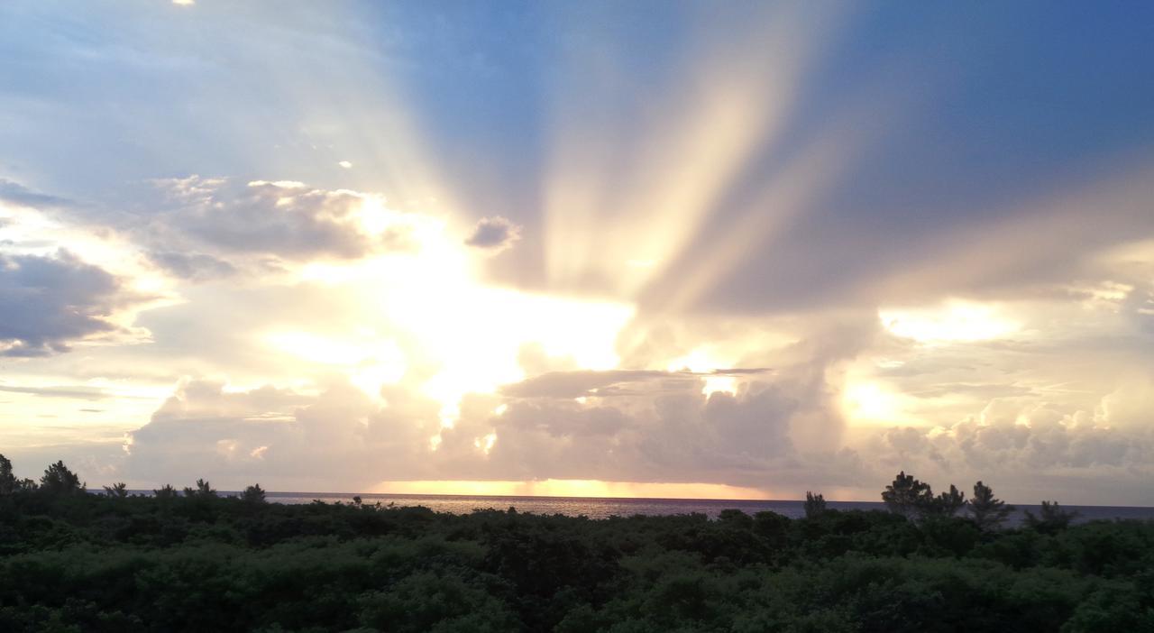 Ocean Zen Suites On 5Th Avenue - Adults Only Playa del Carmen Buitenkant foto
