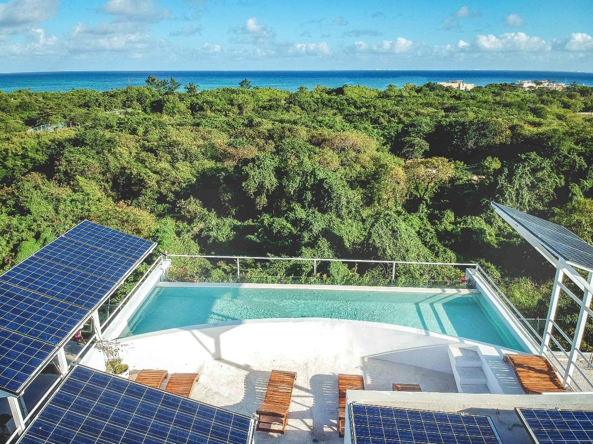 Ocean Zen Suites On 5Th Avenue - Adults Only Playa del Carmen Buitenkant foto