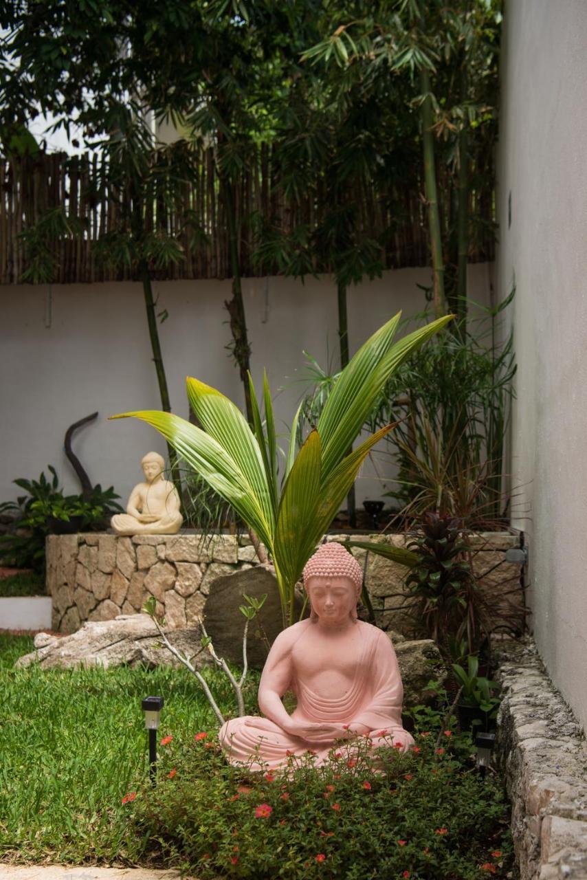 Ocean Zen Suites On 5Th Avenue - Adults Only Playa del Carmen Buitenkant foto
