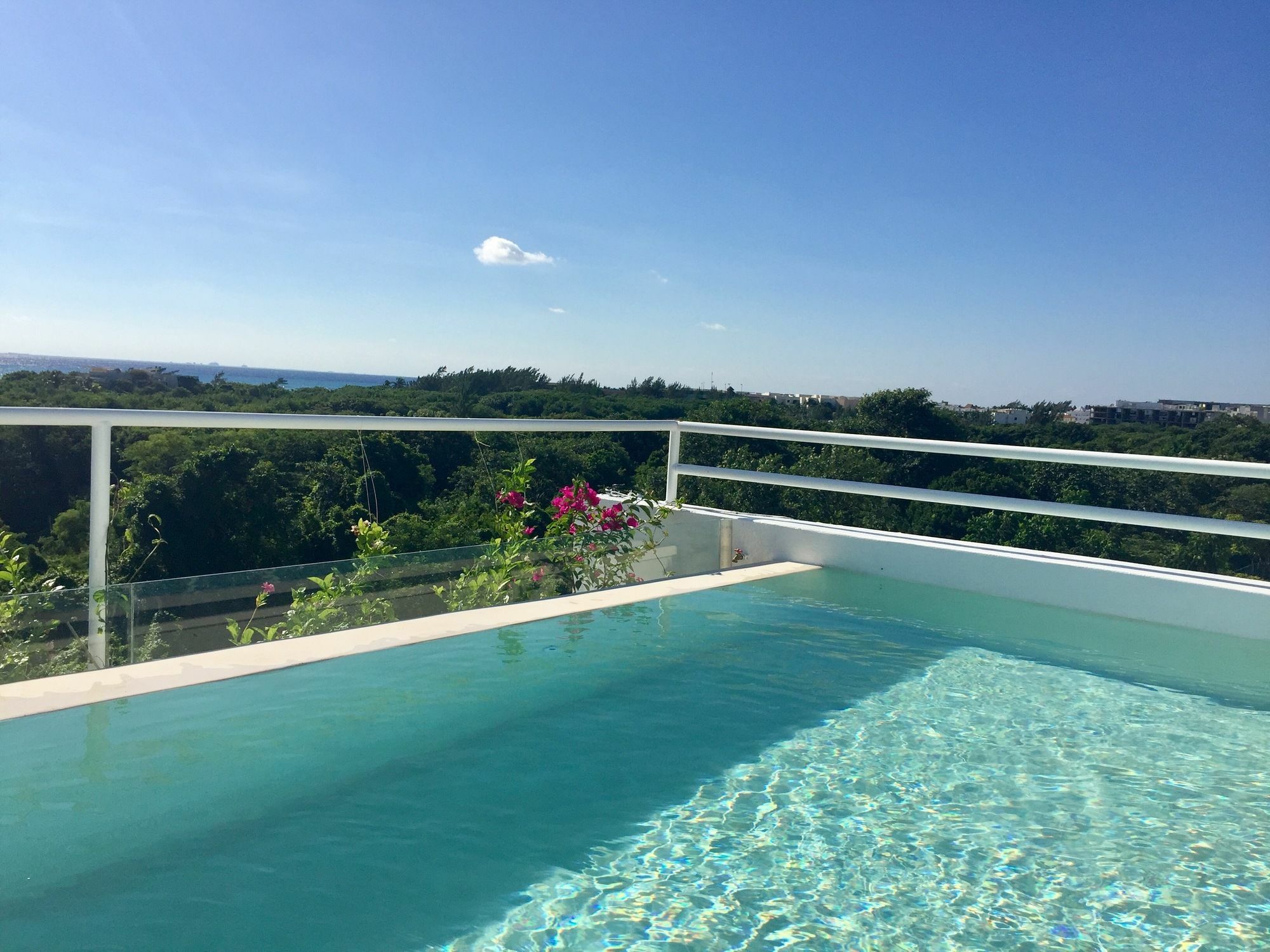 Ocean Zen Suites On 5Th Avenue - Adults Only Playa del Carmen Buitenkant foto