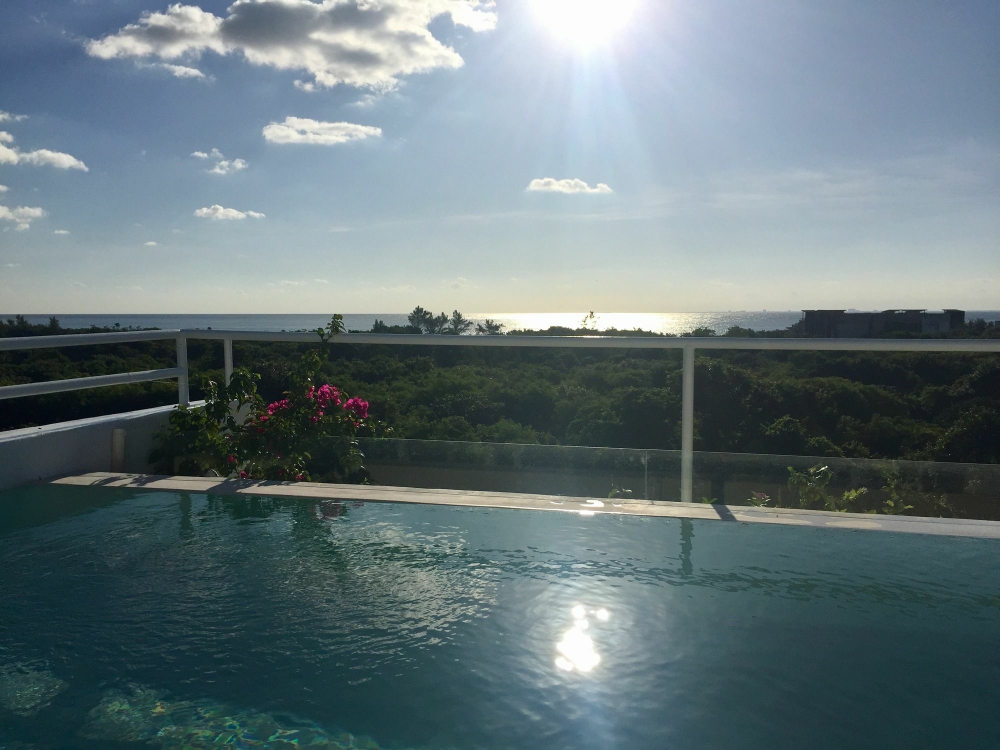 Ocean Zen Suites On 5Th Avenue - Adults Only Playa del Carmen Buitenkant foto